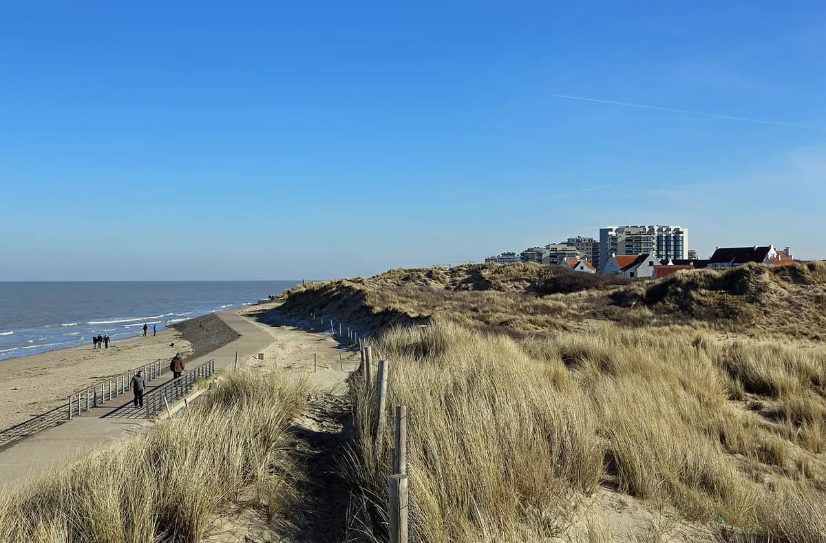 Dune landscape near De Panne East dog beach