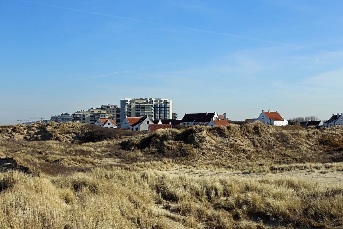 Westhoek nature reserve dunes near De Panne dog beach