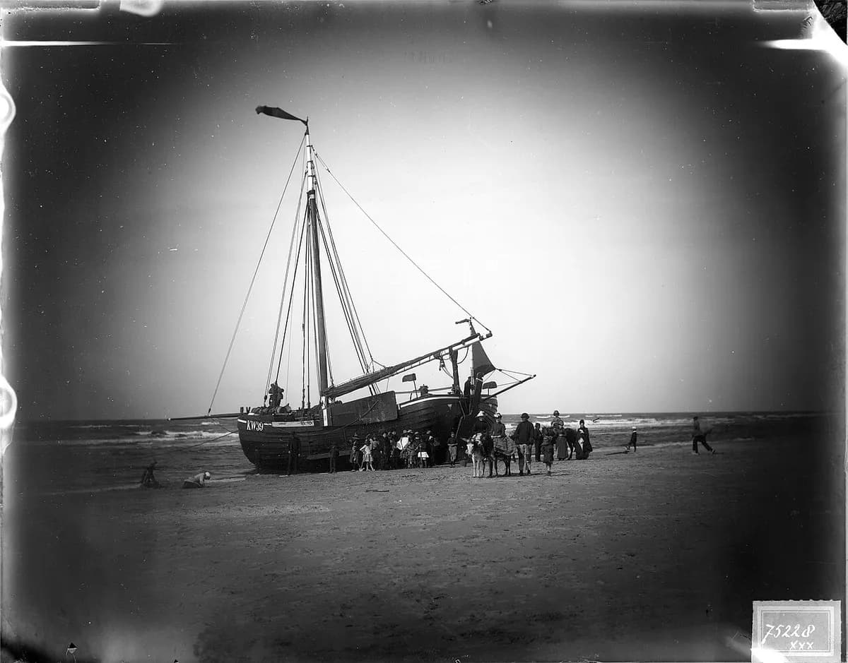 Katwijk aan Zee Hondenstrand, Katwijk aan Zee, Netherlands