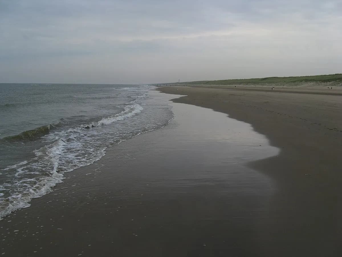 Noordwijk aan Zee Hondenstrand (Langevelderslag), Noordwijk, Netherlands
