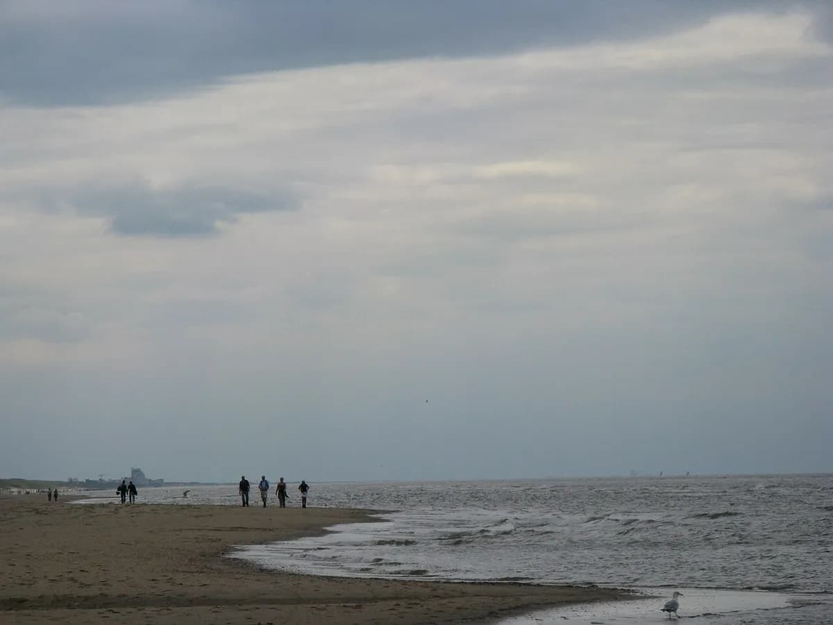 Noordwijk aan Zee Hondenstrand (Langevelderslag), Noordwijk, Netherlands