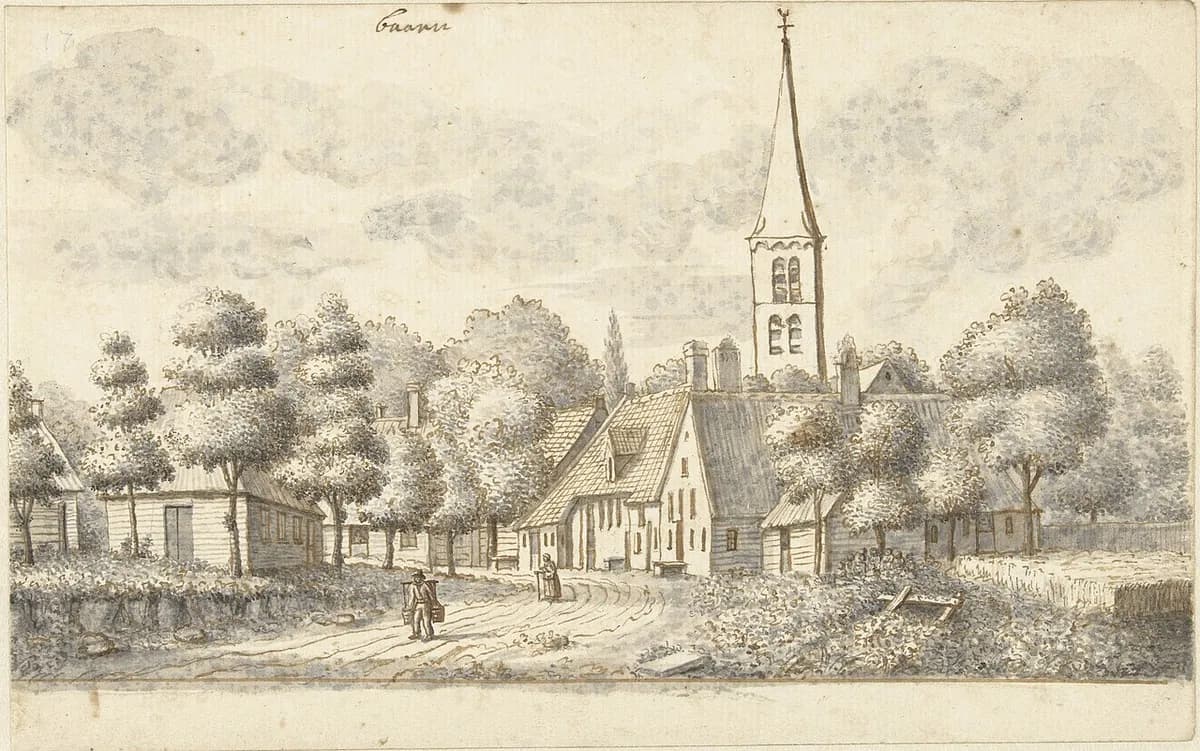 Dog on the beach at Petten Strand, Petten, Netherlands