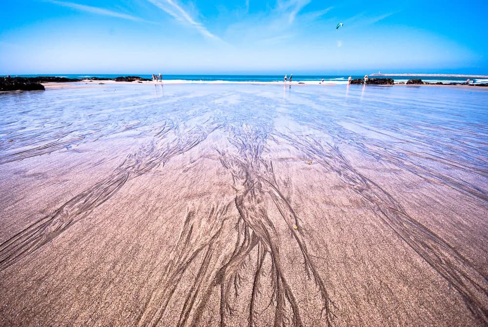 Dogs playing on the sheltered sands of Praia do Coral in Viana do Castelo, northern Portugal